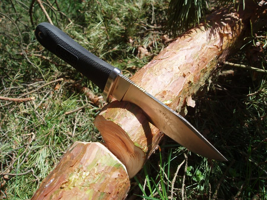 P4100003.jpg(181 kb)