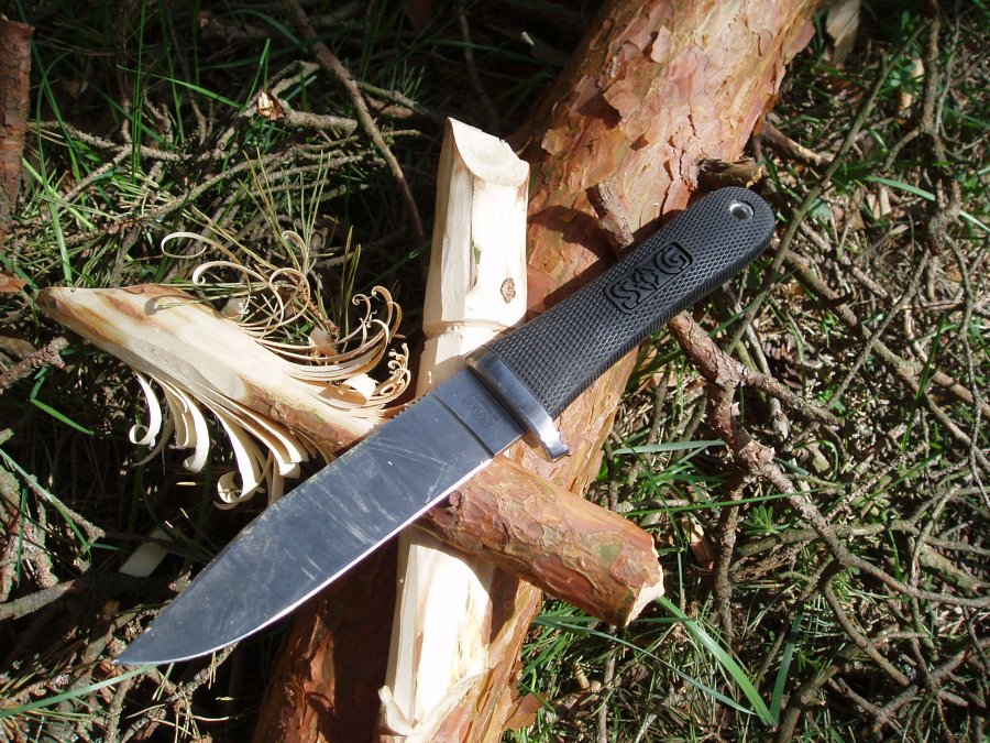 P4100008.jpg(211 kb)