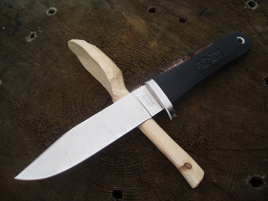 P6010019.jpg(105 kb)