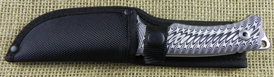 Image7.jpg(94 kb)