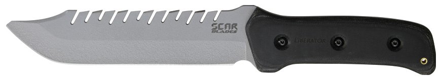 SCAR002.jpg(18 kb)