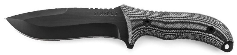 SCHF10.jpg(25 kb)