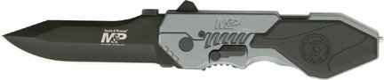 SWMP4LB.jpg(7 kb)