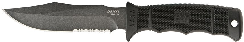 SOG99613.jpg(25 kb)