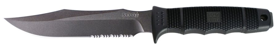 seal-team.jpg(20 kb)