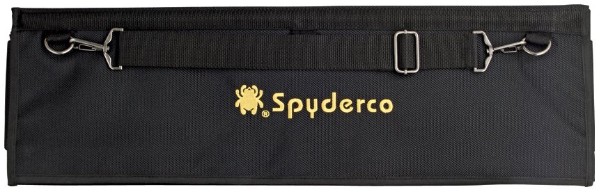 SCSP1.jpg(64 kb)