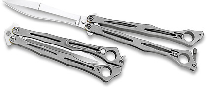 spyderfly.jpg(21 kb)