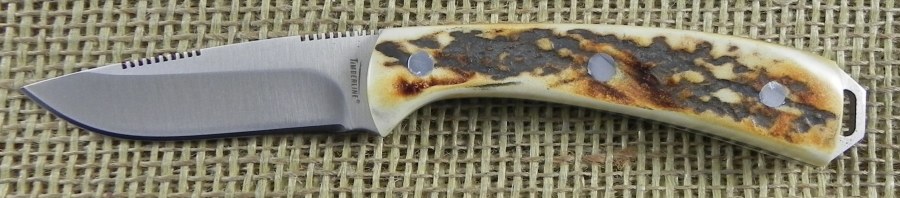 Image5.jpg(63 kb)