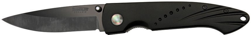 TM8010.jpg(14 kb)