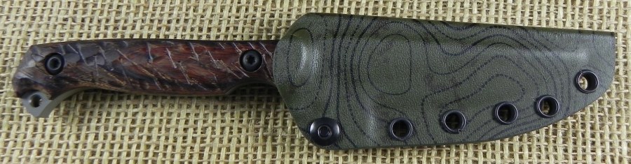 Image8.jpg(83 kb)