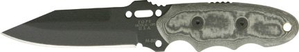 TP361.jpg(7 kb)