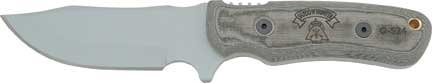 TP99.jpg(5 kb)