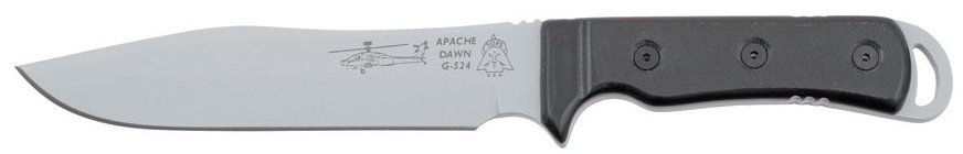 TPAPAD06-apache.jpg(13 kb)