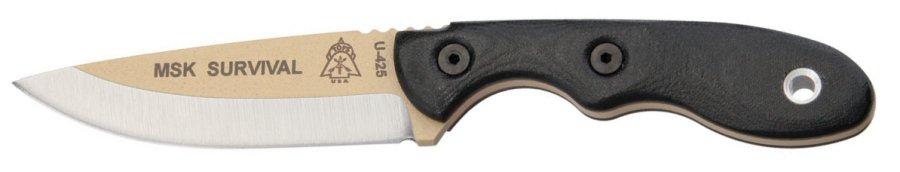 TPMSKSURV.jpg(19 kb)