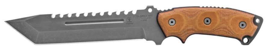 TPSE107DDC.jpg(22 kb)