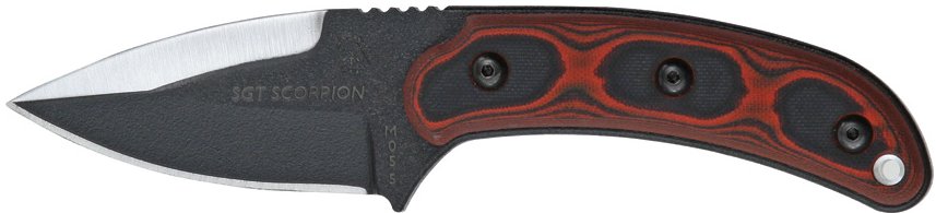 TPSGTS01b.jpg(28 kb)