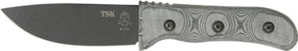 TPTSK01.jpg(7 kb)