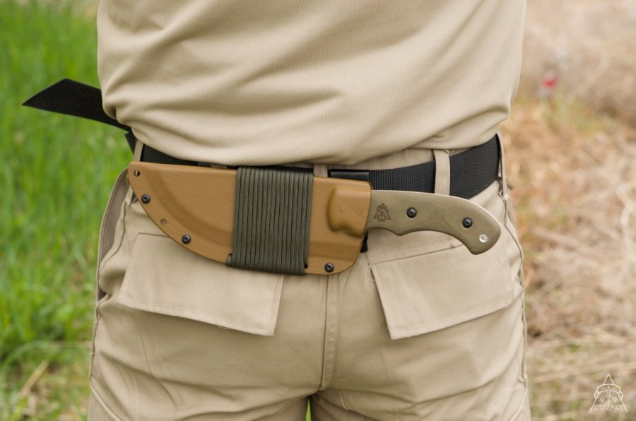 tracker-tan2.jpg(72 kb)