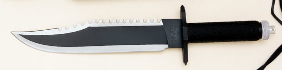 UC0000RB2.jpg(74 kb)
