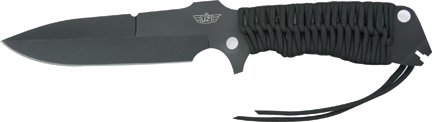 ZF36B.jpg(8 kb)